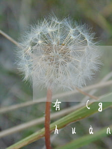 有過(guò)一次逾期還可以辦理創(chuàng)業(yè)貸嗎-有過(guò)一次逾期還可以辦理創(chuàng)業(yè)貸嗎知乎