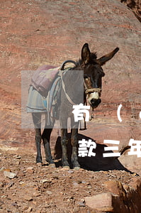 有過(guò)一次逾期銀行的快貸(快貸欠款三年逾期會(huì)怎么樣)