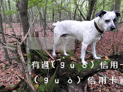 有過(guò)信用卡逾期影響貸款嗎(有過(guò)信用卡逾期影響貸款嗎知乎)