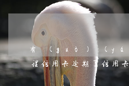 有過(guò)嚴(yán)重逾期怎么辦理信用卡(逾期了信用卡怎么辦)