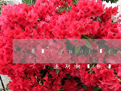 有過(guò)網(wǎng)貸沒(méi)逾期能貸款(沒(méi)有逾期過(guò)為什么網(wǎng)貸不成功)