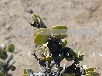 有過(guò)網(wǎng)貸逾期影響買(mǎi)房嗎(網(wǎng)貸逾期影響房貸嗎?)