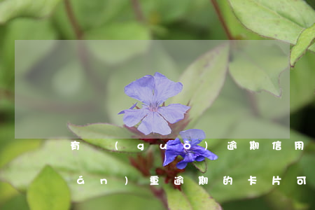 有過(guò)逾期信用卡能激活碼(嚴(yán)重逾期的卡片可以激活嗎)