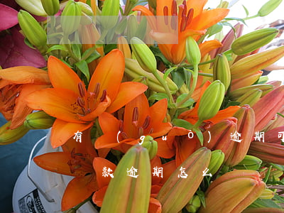 有過(guò)逾期可以抵押貸款(房屋抵押貸款逾期怎么辦)