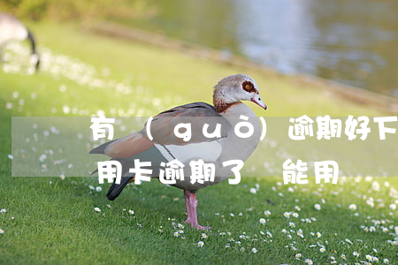 有過(guò)逾期好下的信用卡(為什么信用卡逾期了還能用)
