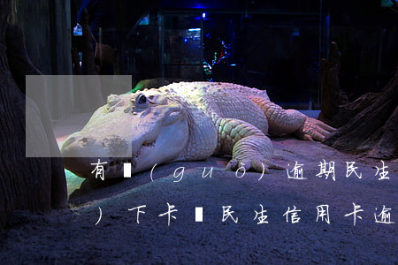 有過(guò)逾期民生信用卡會(huì)下卡嗎(民生信用卡 逾期一天)