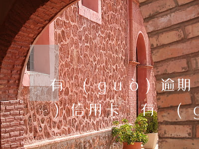 有過(guò)逾期還可以申請(qǐng)信用卡嗎（有過(guò)逾期能不能申請(qǐng)信用卡分期）
