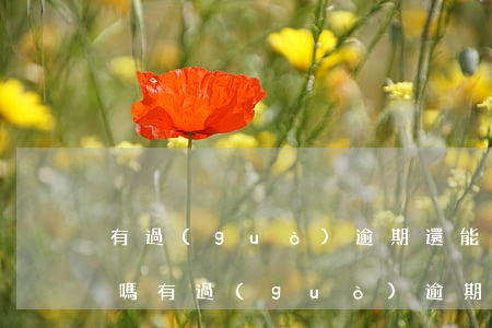 有過(guò)逾期還能辦車(chē)貸嗎(有過(guò)逾期還能辦車(chē)貸嗎)