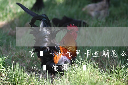 有過一次信用卡逾期怎么辦(有過一次逾期可以辦信用卡嗎)