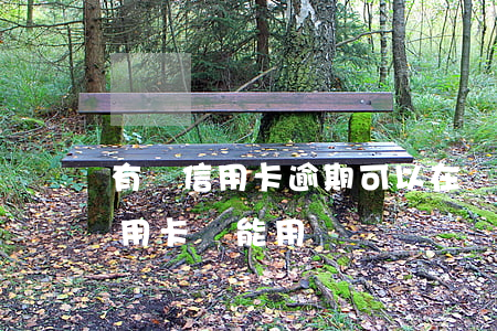有過信用卡逾期可以在貸款嗎(貸款逾期后信用卡還能用嗎)