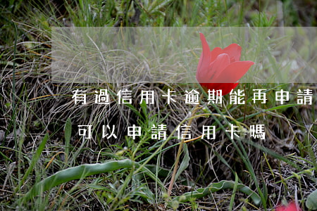 有過信用卡逾期能再申請嗎(有過逾期記錄還可以申請信用卡嗎)