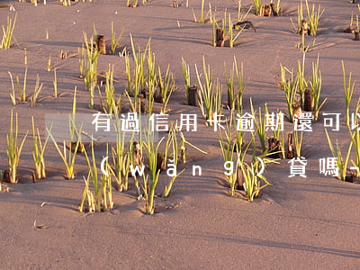 有過信用卡逾期還可以申請(qǐng)網(wǎng)貸嗎-有過信用卡逾期還可以申請(qǐng)網(wǎng)貸嗎知乎