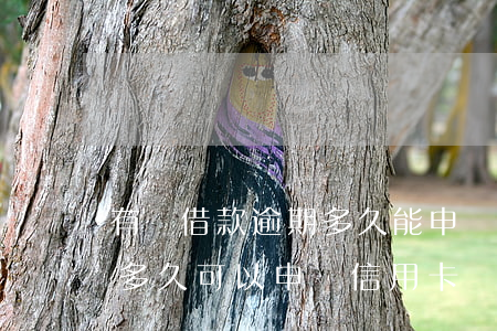 有過借款逾期多久能申請信用卡-逾期還完多久可以申請信用卡