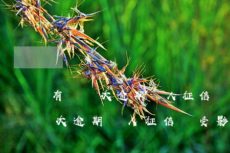 有過兩次逾期個人征信會受影響嗎-有過兩次逾期個人征信會受影響嗎知乎