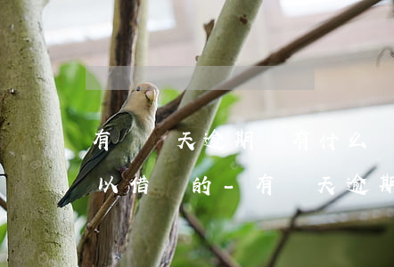 有過幾天逾期還有什么網(wǎng)貸可以借錢的-有幾天逾期記錄能貸款嗎