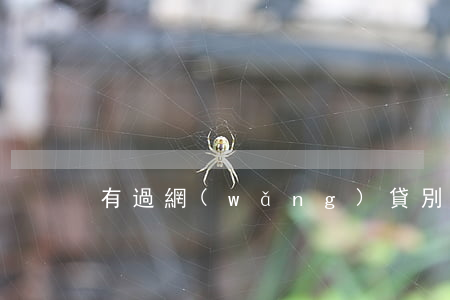 有過網(wǎng)貸別的信用卡沒逾期過