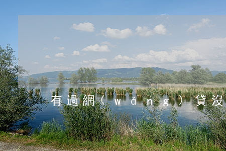 有過網(wǎng)貸沒逾期