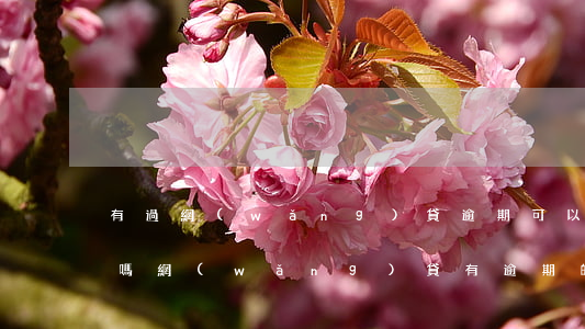 有過網(wǎng)貸逾期可以申請信用卡嗎(網(wǎng)貸有逾期的可以辦信用卡嗎)