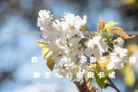 有過網貸無逾期怎么辦信用卡(有過網貸無逾期怎么辦信用卡呢)