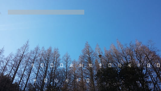有過網貸逾期能申請信用卡(網貸有逾期可以申請信用卡嗎)