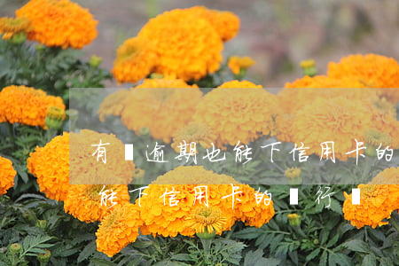 有過逾期也能下信用卡的銀行-有過逾期也能下信用卡的銀行嗎
