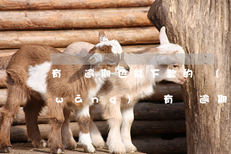 有過逾期也能下款的網(wǎng)貸(網(wǎng)貸有過逾期還能下款的網(wǎng)貸)