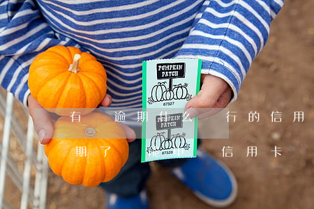 有過逾期什么銀行的信用卡好申請(信用卡逾期了還能申請信用卡嗎)