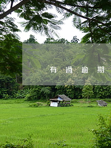 有過逾期但是全還了影響政審嗎-