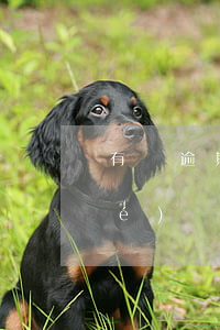 有過逾期可以申請(qǐng)大學(xué)創(chuàng)業(yè)補(bǔ)助嗎-有過逾期可以申請(qǐng)大學(xué)創(chuàng)業(yè)補(bǔ)助嗎知乎