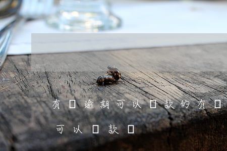 有過逾期可以貸款的(有嚴(yán)重逾期可以貸款嗎)