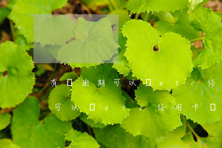 有過逾期可以辦etc信用卡嗎-有過逾期可以辦etc信用卡嗎