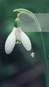 有過逾期在哪容易貸款(有逾期怎么貸款容易)