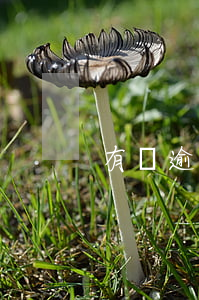 有過逾期在哪里能貸款(逾期可以貸款)