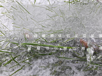 有過逾期征信花還能辦理信用卡嗎(征信花沒逾期可以辦信用卡嗎)