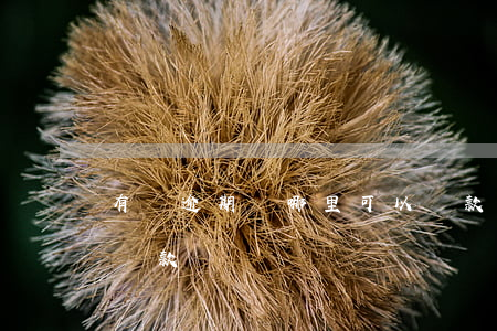 有過逾期從哪里可以貸款(貸款有過逾期還能貸款嗎)