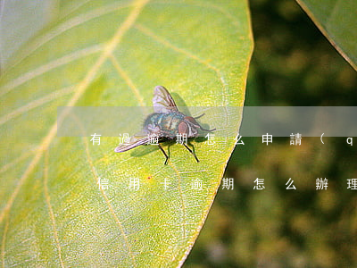 有過逾期怎么申請(qǐng)信用卡（離婚信用卡逾期怎么辦理）