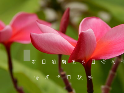 有過逾期怎么辦信用卡貸款(有過逾期怎么辦信用卡貸款呢)
