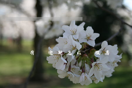 有過逾期怎么辦理房貸
