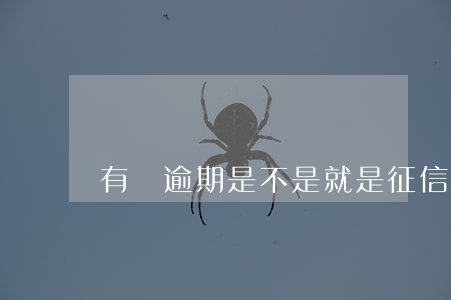 有過逾期是不是就是征信有問題-