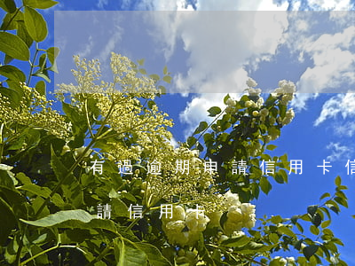 有過逾期申請信用卡（信用卡曾逾期怎樣再申請信用卡）
