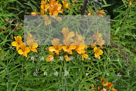 有過逾期網(wǎng)貸可以辦理信用卡么 有過網(wǎng)貸逾期可以辦信用卡嗎