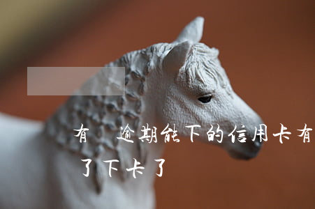 有過逾期能下的信用卡(有逾期信用卡竟然過了下卡了)