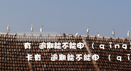 有過逾期能不能申請(qǐng)民生信用卡(有過逾期能不能申請(qǐng)民生信用卡借錢)