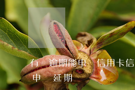 有過逾期能申請信用卡（信用卡逾期記錄可以申請延期嗎）