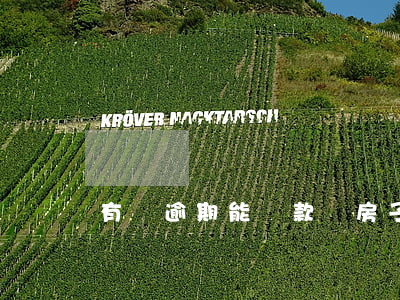有過逾期能貸款買房子嗎(房貸逾期能貸款嗎)