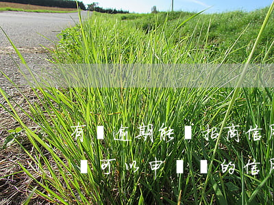 有過逾期能辦招商信用卡(招商信用卡逾期了還可以申請別的信用卡嗎)