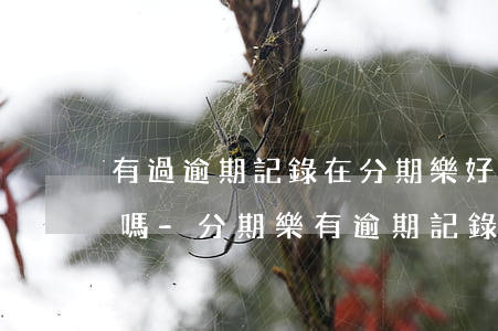 有過逾期記錄在分期樂好申請(qǐng)嗎-分期樂有逾期記錄可以辦信用卡嗎