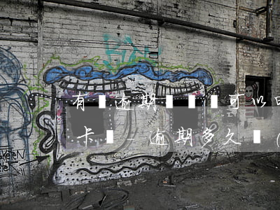 有過逾期記錄還可以申請(qǐng)信用卡嗎-逾期多久會(huì)被列入失信人名單
