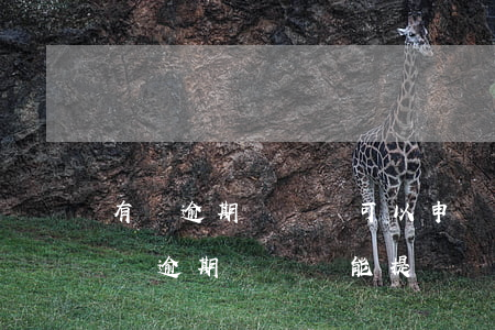 有過逾期記錄還可以申請信用卡嗎（信用卡有過逾期記錄還能提額嗎）