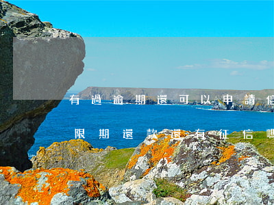 有過逾期還可以申請信用卡嗎（信用卡逾期寬限期還款還有征信嗎）